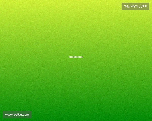 职业拳击比赛叫什么名字